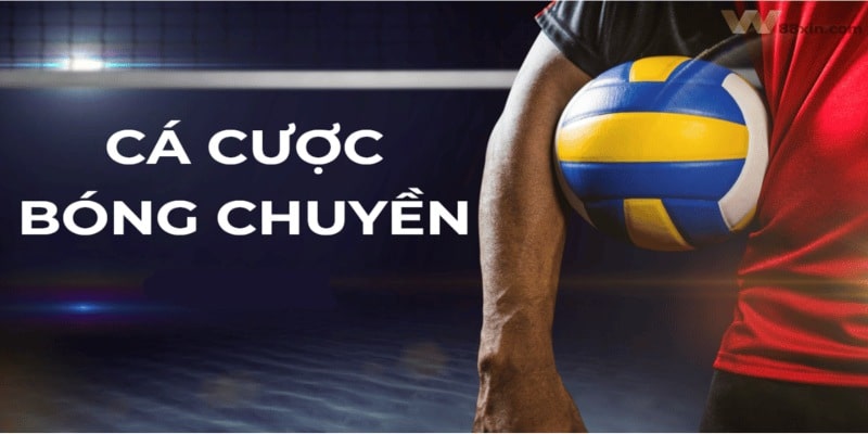 Cá Cược Bóng Chuyền Mu88 - Mẹo Chơi Dễ Thắng, Cá Cược An Toàn