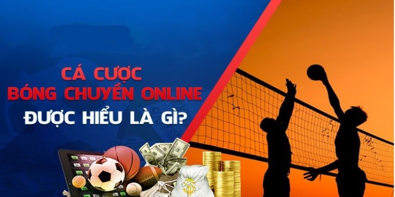 Cá cược bóng chuyền Mu88 là gì?