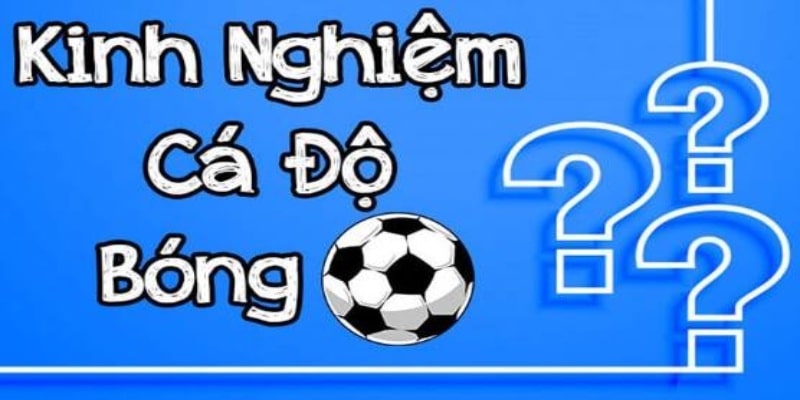 Hướng dẫn cách cá cược bóng đá Mu88 theo các kèo